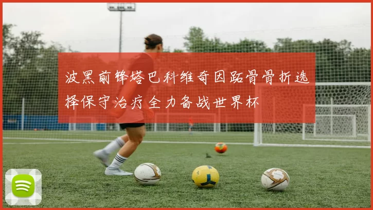 波黑前锋塔巴科维奇因跖骨骨折选择保守治疗全力备战世界杯