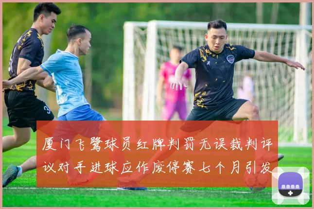 厦门飞鹭球员红牌判罚无误裁判评议对手进球应作废停赛七个月引发热议
